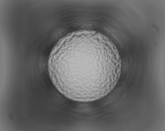 X0000116420185200912291856