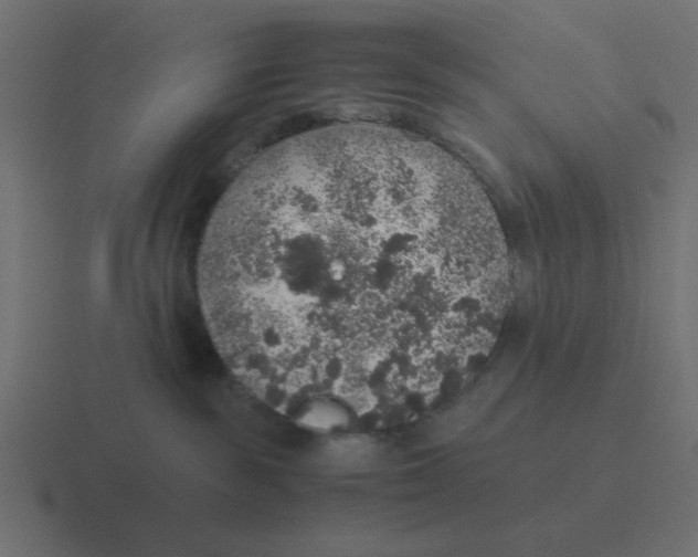 X0000116420189200912291856