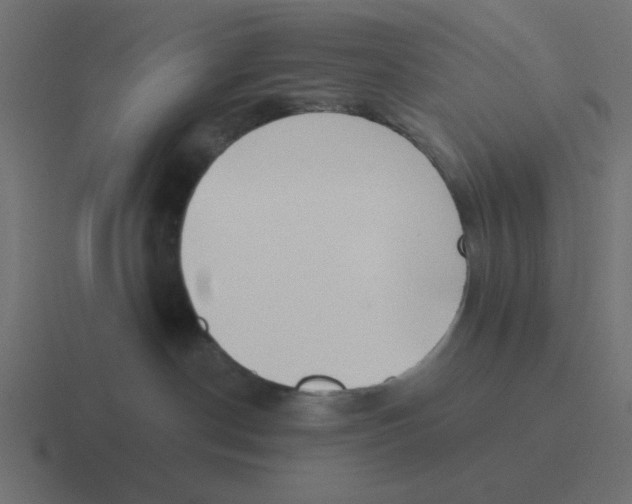 X0000116420190200912291856