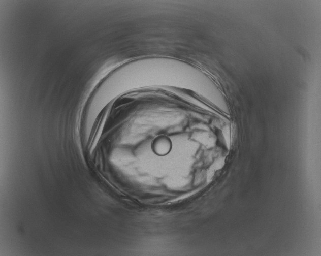 X0000116420195200912291855