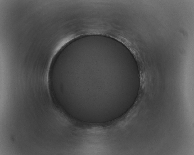 X0000116420196200912291855
