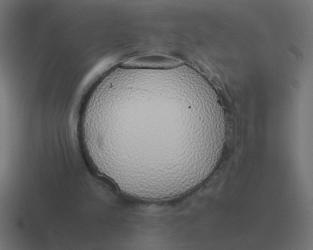 X0000116420197200912291855