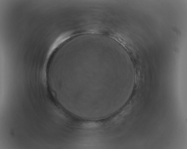 X0000116420198200912291855