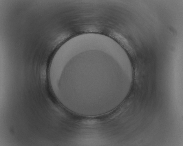 X0000116420202200912291855