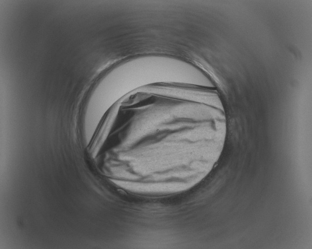 X0000116420203200912291855