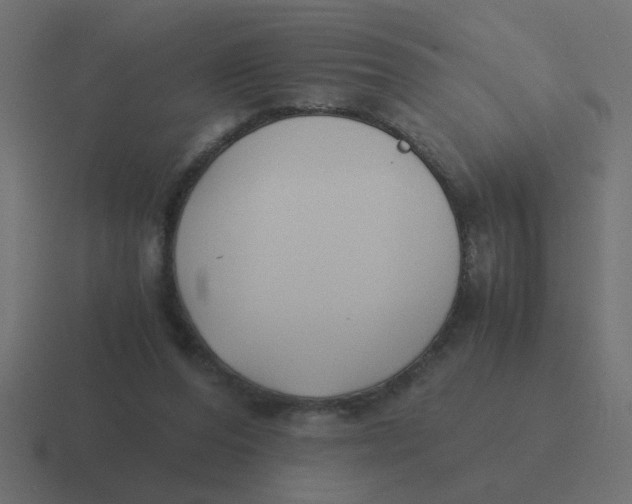 X0000116420208200912291855