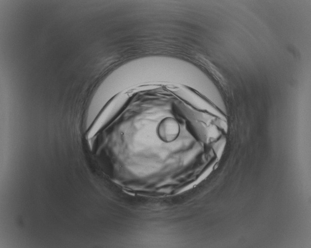 X0000116420209200912291855