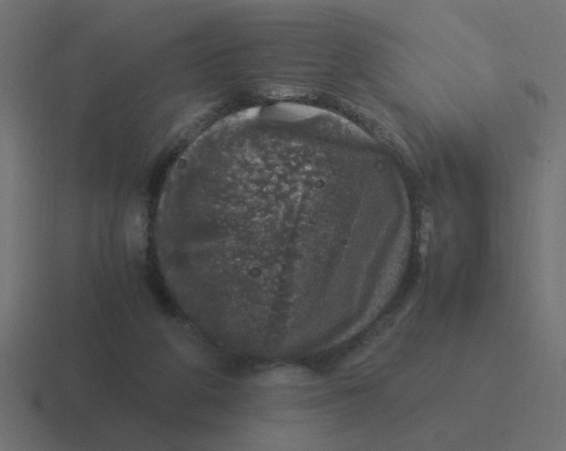 X0000116420210200912291855