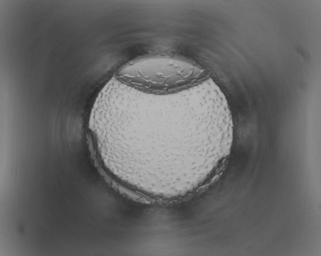 X0000116420211200912291855