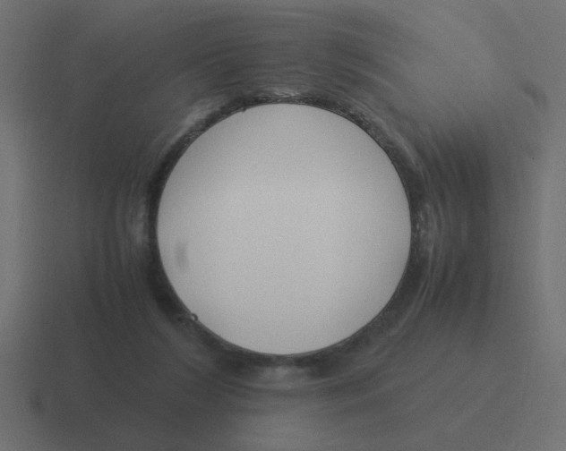 X0000116420212200912291855