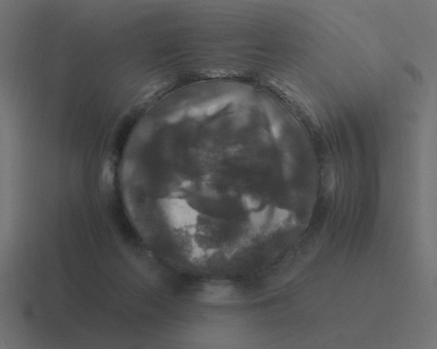 X0000116420214200912291855