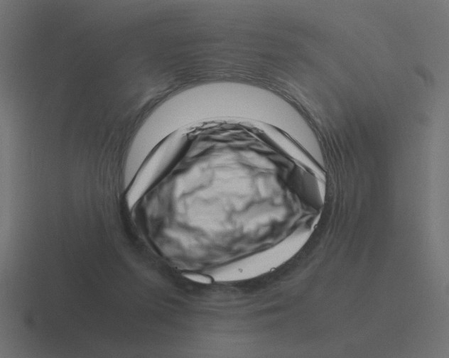 X0000116420215200912291855
