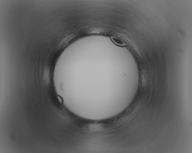 X0000116420216200912291855