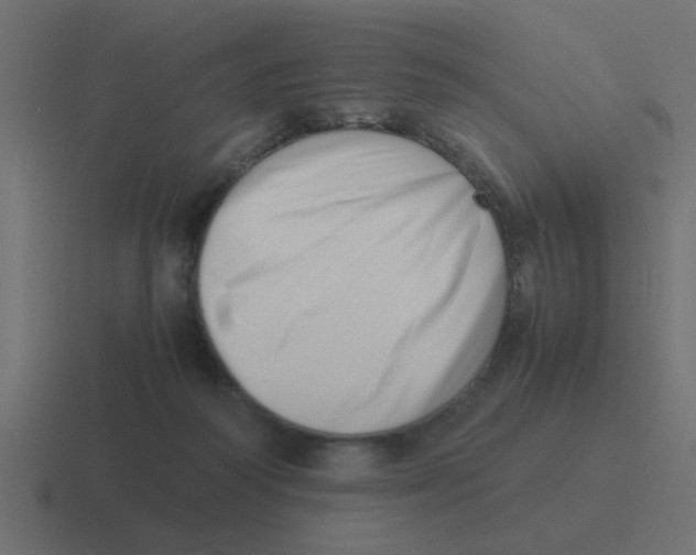 X0000116420218200912291855