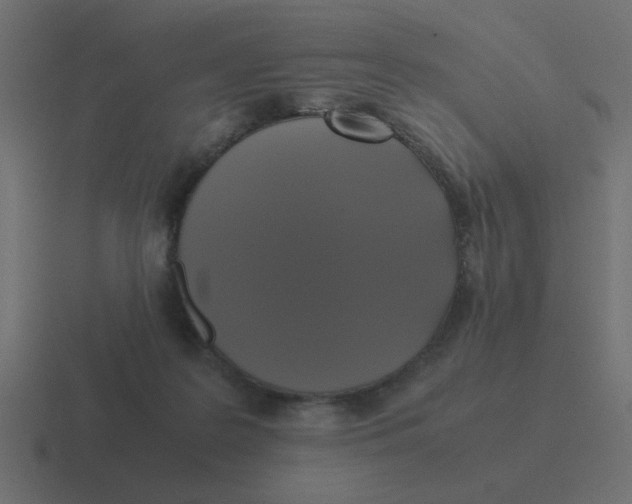X0000116420219200912291855