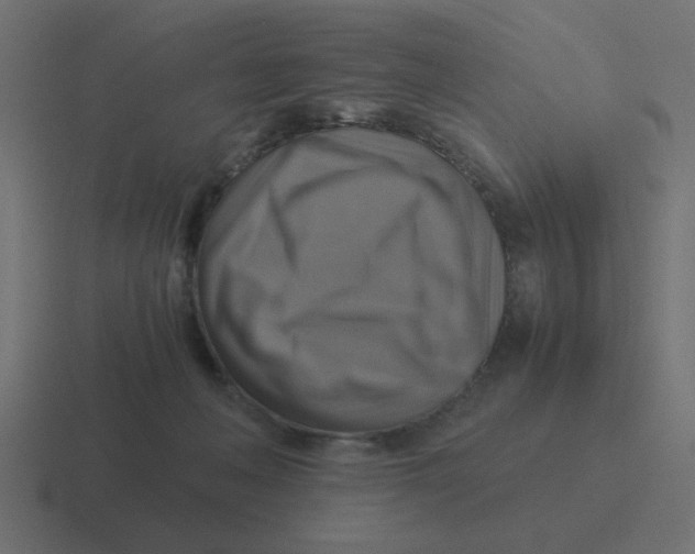 X0000116420222200912291855