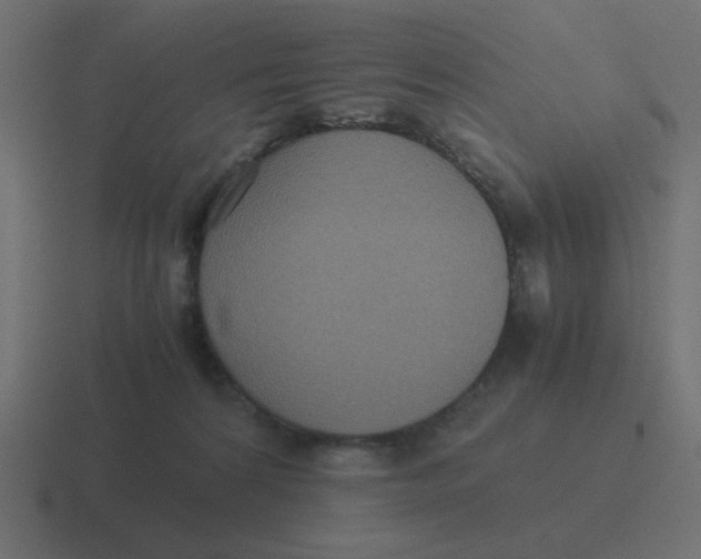 X0000116420224200912291855