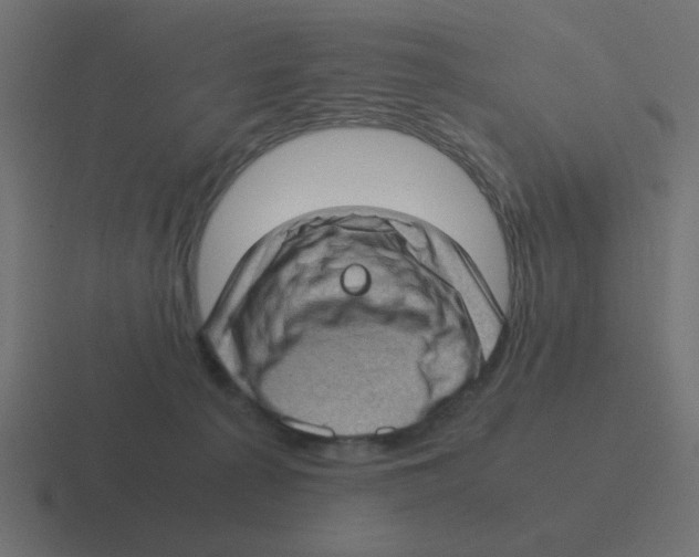 X0000116420225200912291855