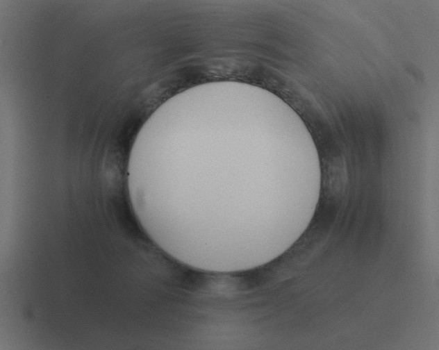 X0000116420226200912291855