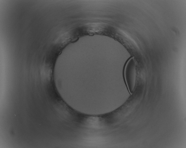 X0000116420227200912291855