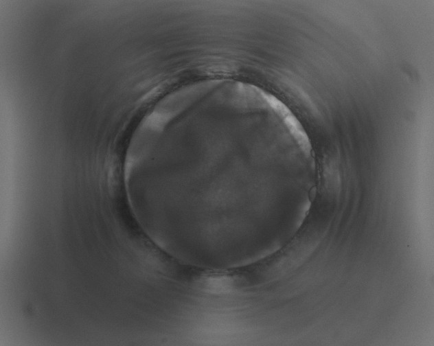 X0000116420228200912291855