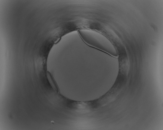 X0000116420229200912291855