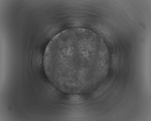 X0000116420230200912291855