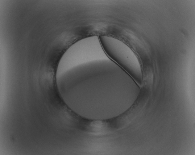 X0000116420231200912291855