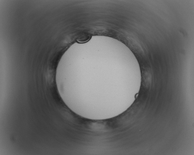 X0000116420232200912291855