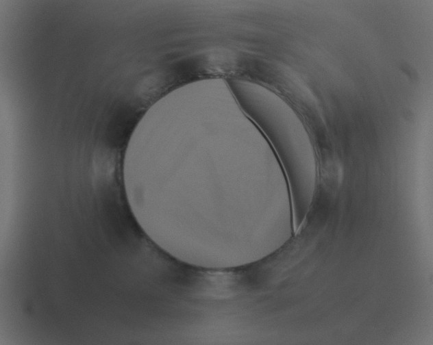 X0000116420233200912291855