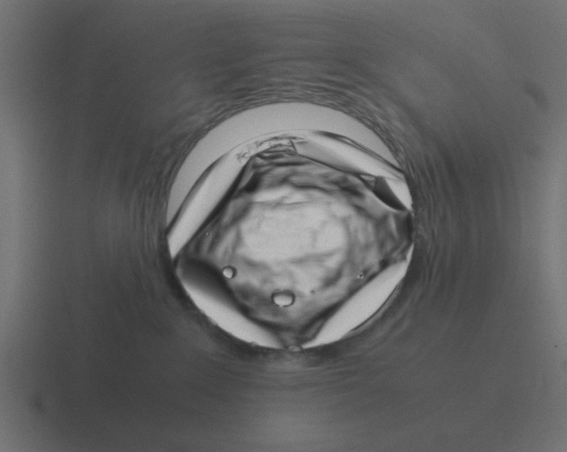X0000116420235200912291855