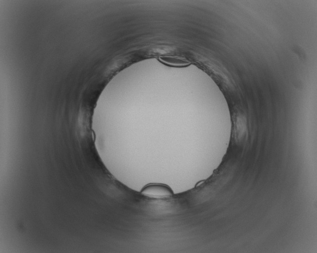 X0000116420236200912291855