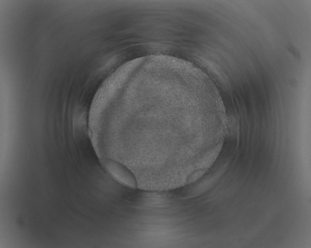 X0000116420238200912291855