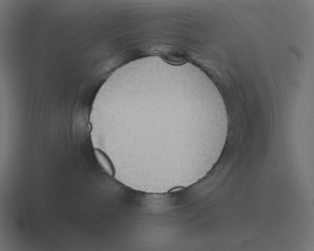 X0000116420240200912291855