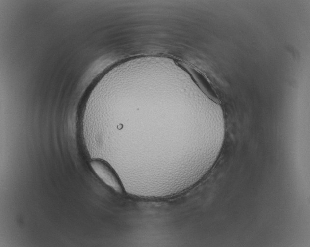 X0000116420242200912291854