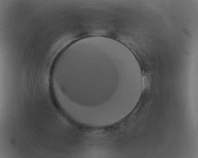 X0000116420243200912291854