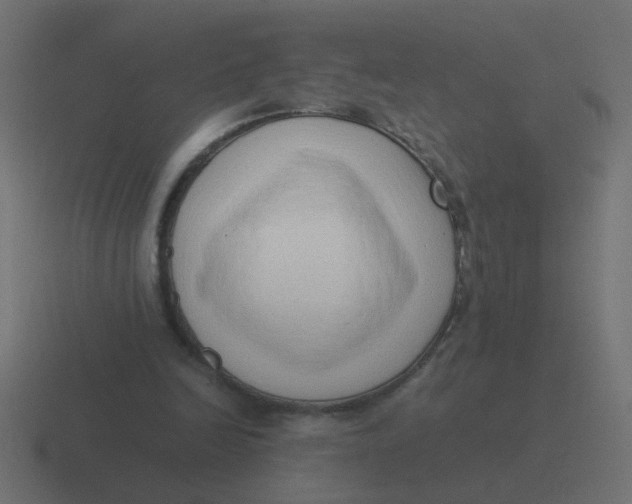 X0000116420246200912291854