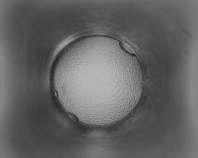 X0000116420248200912291854
