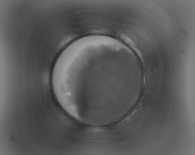 X0000116420249200912291854