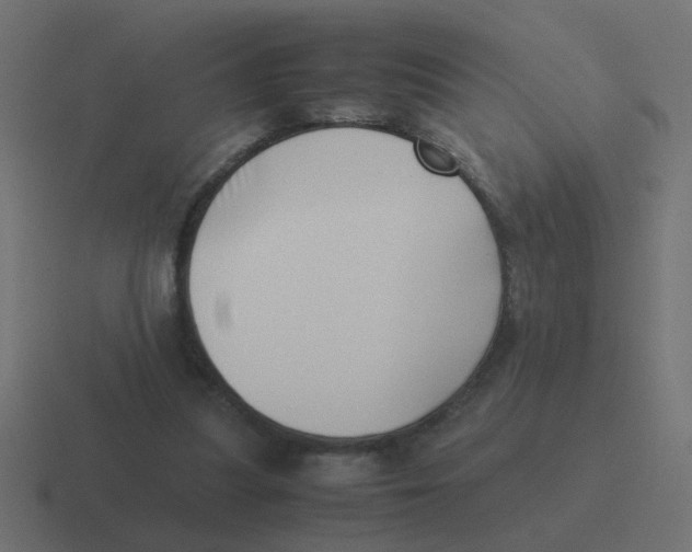 X0000116420251200912291854
