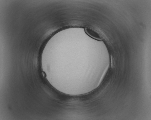 X0000116420252200912291854