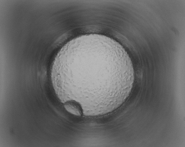 X0000116420254200912291854