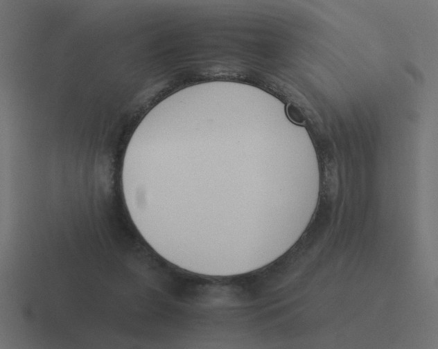X0000116420255200912291854