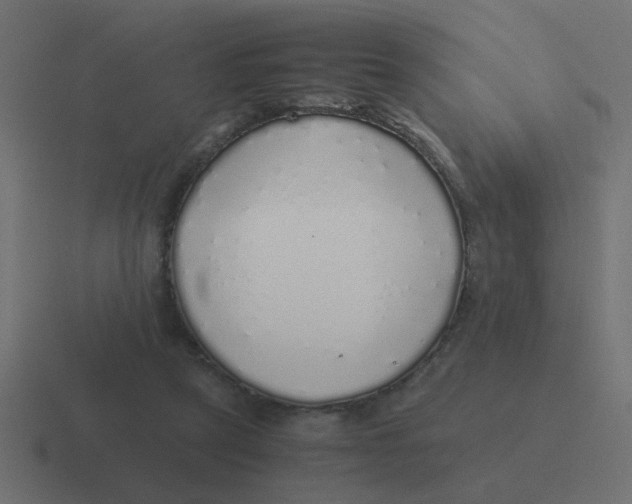 X0000116420257200912291854