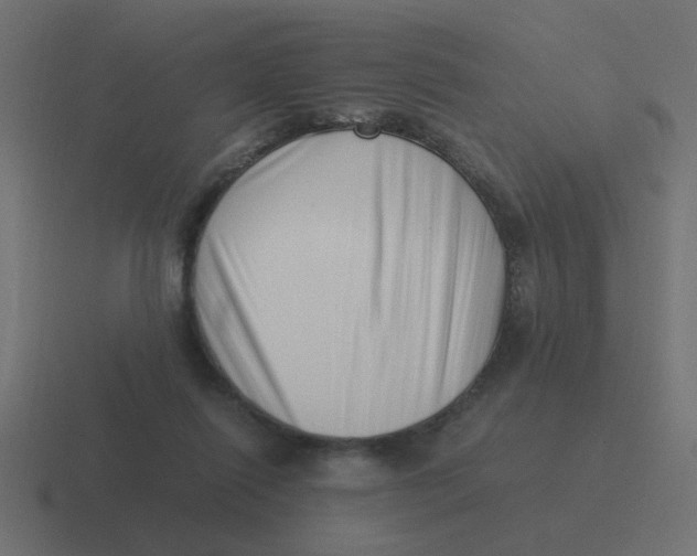 X0000116420262200912291854