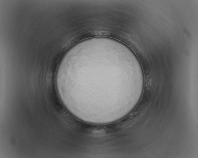 X0000116420263200912291854