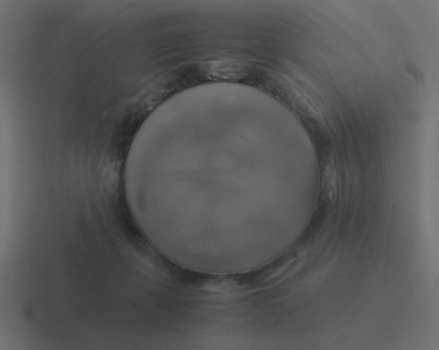 X0000116420271200912291854