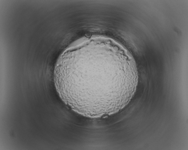 X0000116420273200912291854