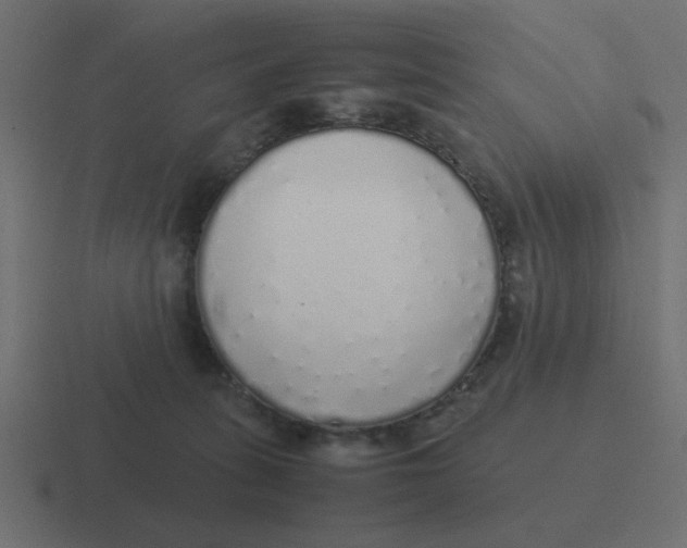 X0000116420275200912291854