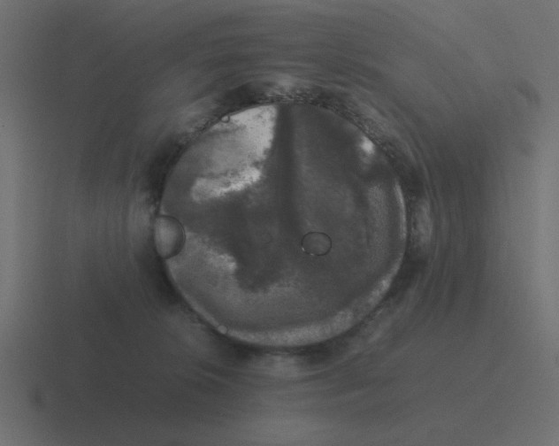 X0000116420276200912291854